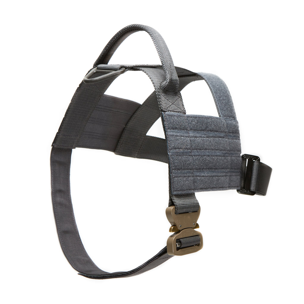 RDR Cobra Buckle K9 Collar – RDR Gear
